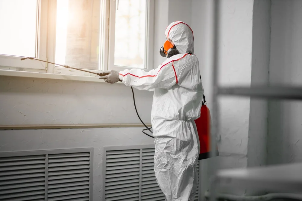 Professional mold remediation services in Pine Beach, NJ
